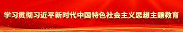 鸡鸡操逼视频学习贯彻习近平新时代中国特色社会主义思想主题教育